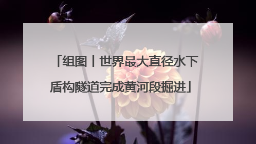 组图丨世界最大直径水下盾构隧道完成黄河段掘进
