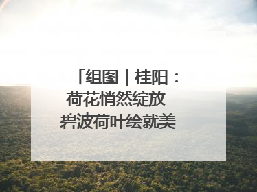 组图｜桂阳：荷花悄然绽放 碧波荷叶绘就美好夏日画卷