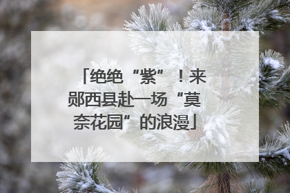 绝绝“紫”！来郧西县赴一场“莫奈花园”的浪漫