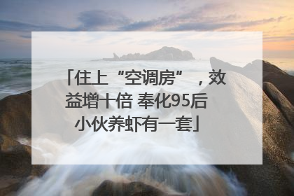 住上“空调房”，效益增十倍 奉化95后小伙养虾有一套