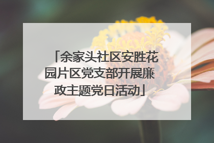 余家头社区安胜花园片区党支部开展廉政主题党日活动