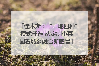 佳木斯：“一地四种” 模式任选 从定制小菜园看城乡融合新图景