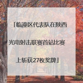临潼区代表队在陕西光电射击联赛首站比赛上斩获27枚奖牌