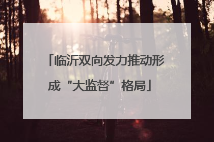 临沂双向发力推动形成“大监督”格局