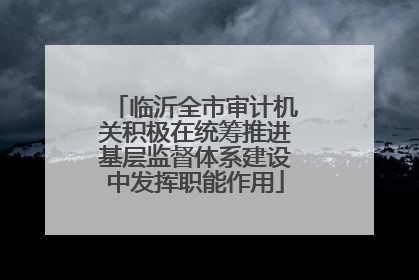 临沂全市审计机关积极在统筹推进基层监督体系建设中发挥职能作用