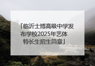临沂士博高级中学发布学校2025年艺体特长生招生简章