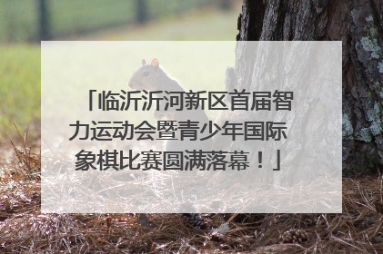 临沂沂河新区首届智力运动会暨青少年国际象棋比赛圆满落幕！