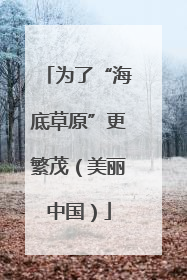 为了“海底草原”更繁茂（美丽中国）