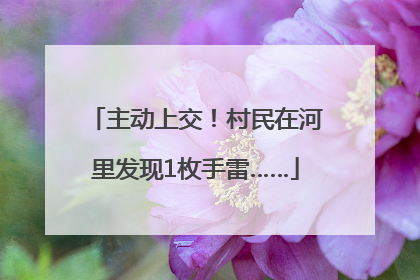 主动上交！村民在河里发现1枚手雷……