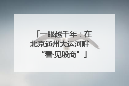 一眼越千年：在北京通州大运河畔“看·见殷商”