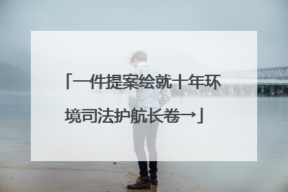 一件提案绘就十年环境司法护航长卷→