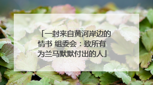 一封来自黄河岸边的情书 组委会：致所有为兰马默默付出的人