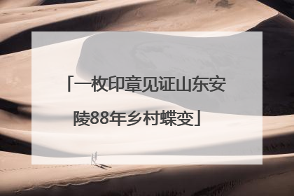 一枚印章见证山东安陵88年乡村蝶变