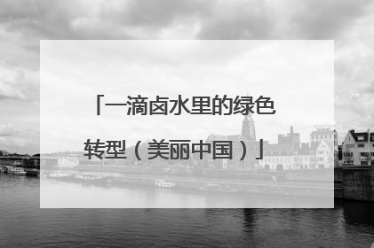 一滴卤水里的绿色转型（美丽中国）