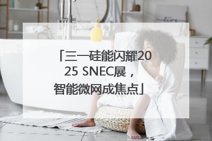 三一硅能闪耀2025 SNEC展，智能微网成焦点