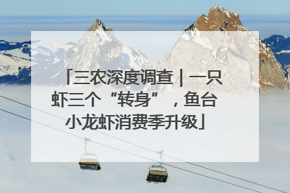三农深度调查｜一只虾三个“转身”，鱼台小龙虾消费季升级