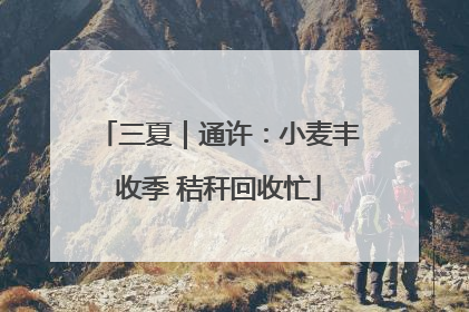 三夏｜通许：小麦丰收季 秸秆回收忙