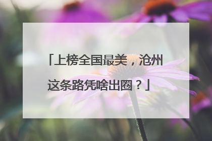 上榜全国最美，沧州这条路凭啥出圈？