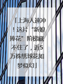 上海人速冲！这片“新娘捧花”阶梯藏不住了，近5万株绣球花如梦似幻