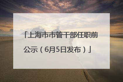 上海市市管干部任职前公示（6月5日发布）