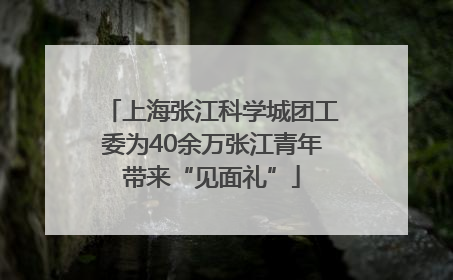 上海张江科学城团工委为40余万张江青年带来“见面礼”