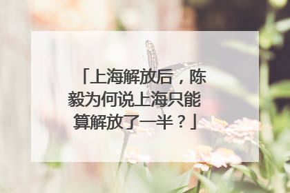 上海解放后，陈毅为何说上海只能算解放了一半？