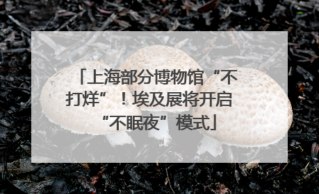 上海部分博物馆“不打烊”！埃及展将开启“不眠夜”模式