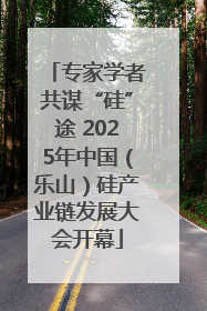 专家学者共谋“硅”途 2025年中国（乐山）硅产业链发展大会开幕