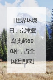 世界环境日：京津冀鸟类超600种，占全国近四成