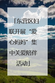 东营区妇联开展“爱心妈妈”集中关爱陪伴活动