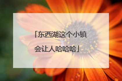 东西湖这个小镇会让人哈哈哈