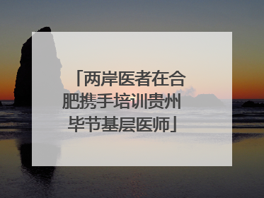 两岸医者在合肥携手培训贵州毕节基层医师