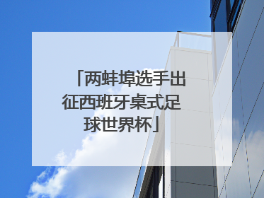 两蚌埠选手出征西班牙桌式足球世界杯