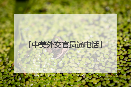 中美外交官员通电话