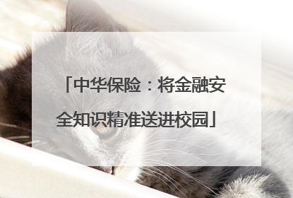 中华保险：将金融安全知识精准送进校园