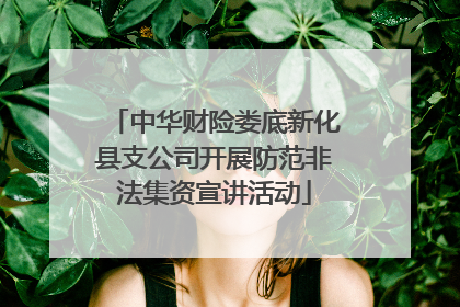中华财险娄底新化县支公司开展防范非法集资宣讲活动
