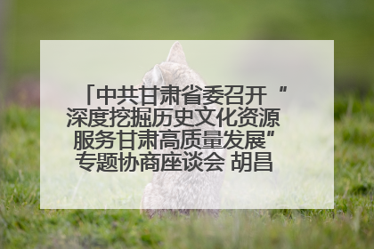 中共甘肃省委召开“深度挖掘历史文化资源服务甘肃高质量发展”专题协商座谈会 胡昌升主持并讲话