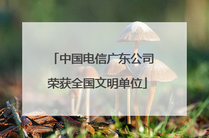 中国电信广东公司荣获全国文明单位