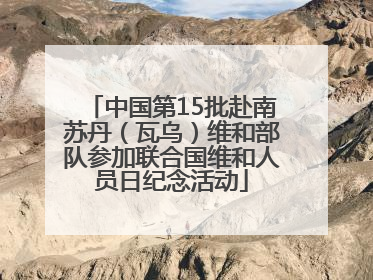中国第15批赴南苏丹（瓦乌）维和部队参加联合国维和人员日纪念活动