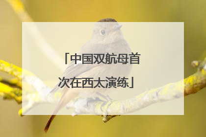 中国双航母首次在西太演练
