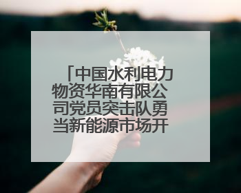 中国水利电力物资华南有限公司党员突击队勇当新能源市场开拓排头兵
