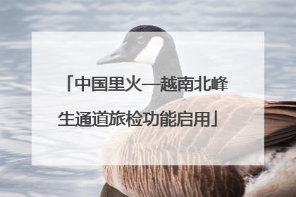 中国里火—越南北峰生通道旅检功能启用