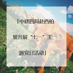 中建四局赴西柏坡开展“七一”主题党日活动