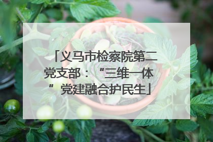 义马市检察院第二党支部：“三维一体”党建融合护民生