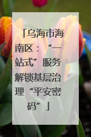 乌海市海南区：“一站式”服务解锁基层治理“平安密码”