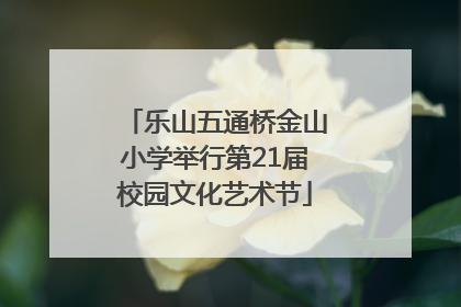 乐山五通桥金山小学举行第21届校园文化艺术节