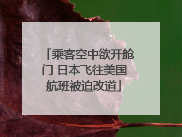 乘客空中欲开舱门 日本飞往美国航班被迫改道