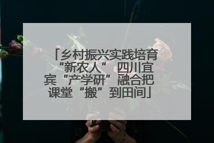 乡村振兴实践培育“新农人” 四川宜宾“产学研”融合把课堂“搬”到田间