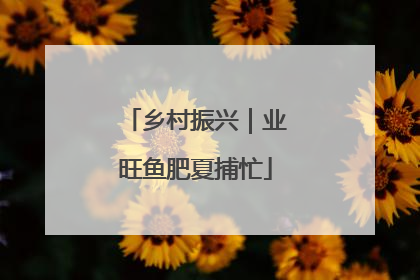 乡村振兴｜业旺鱼肥夏捕忙