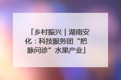 乡村振兴｜湖南安化：科技服务团“把脉问诊”水果产业